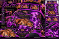 Bed Set - "Bed Time" Purple Lioness & Cub Cotton Duvet Cover Set